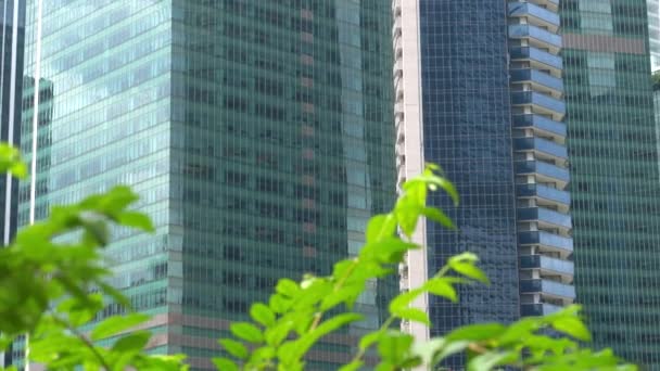 クローズ アップ ガラス建築は 都市の中心市街地に緑豊かな公園を見渡せます ビジネス地区の建物が空に高騰高級な 晴れた日の穏やかな風にそよぐ緑の葉 — ストック動画