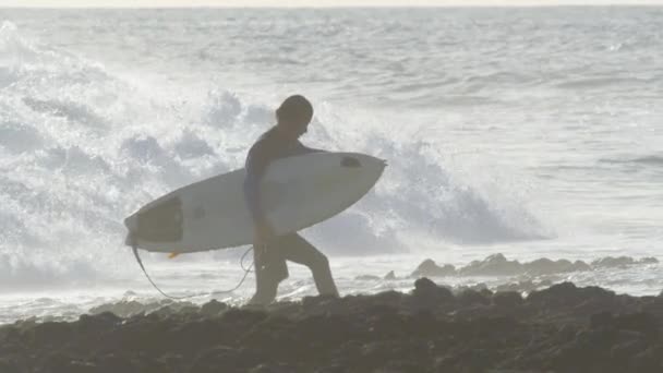 Slow Motion Silhouette Surfeur Professionnel Marchant Sur Rivage Rocheux Glissant — Video