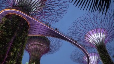 Düşük Açı Kapat Çekici Singapur ulusal dönüm noktası alacakaranlık renkli ışıklar yaktı. Bahçe Bay kentsel ortamda doğal hissediyorum için turistler arasında popüler. Marina Körfezi'nde Gezi