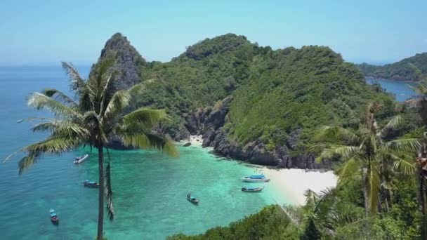 Aerial Flying Tranquil Palm Trees Reveals Breathtaking Tropical Beach Remote — 图库视频影像