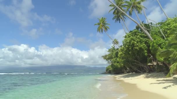 Pohled Nízkým Úhlem Vlny Valí Prázdnou Tropickou Pláž Obklopenou Stálezelenými — Stock video