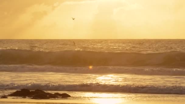 Slow Motion Lens Flare Duas Gaivotas Voando Sobre Ondas Espumantes — Vídeo de Stock