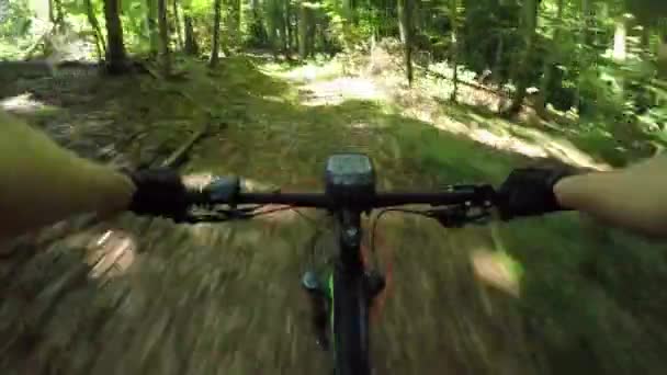 Pov 認識できない極端なバイクライダーは 電子バイクで森林トレイルを下り坂を加速します 晴れた日に森の中でEバイクに乗る男性サイクリスト 彼の夏の趣味を楽しんでアドレナリンジャンキー — ストック動画