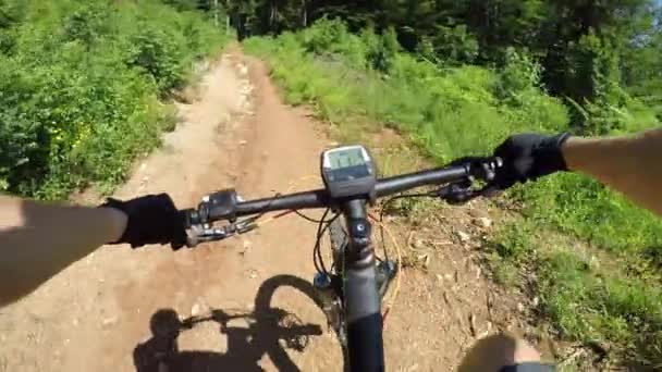 Pov Extreme Bike Rider Snelheid Bergafwaarts Een Bospad Een Zonnige — Stockvideo