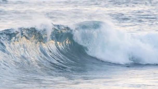 スローモーションクローズアップ 見事なバレル形状を形成するクリスタルクリアな海の波 朝の日差しの中できらめくメタリックブルーの波 リモートビーチに急いで自然のままのバレル波のスローモーションをリラックス — ストック動画