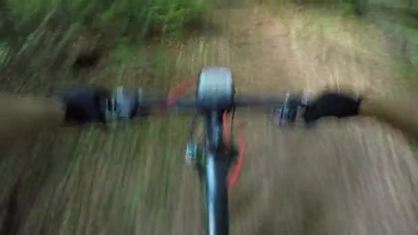 Pov Motociclista Extremo Montando Bike Cuesta Abajo Través Exuberante Bosque — Vídeo de stock