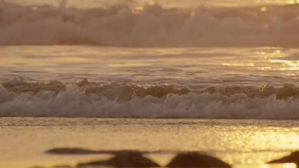 Zeitlupe Nahaufnahme Kühle Landschaft Von Meereswellen Treffen Sandstrand Bei Sonnenuntergang — Stockvideo