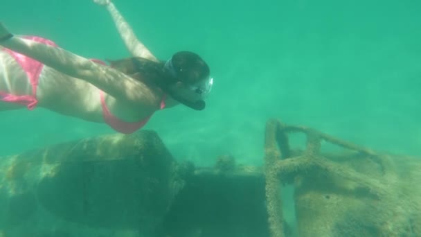 スローモーション ターコイズブルーの海で若い白人女性シュノーケルと第二次世界大戦から沈んだ飛行機を探検 女性は魅力的な藻類カバーされたWw2戦闘機の残骸の周りを泳ぐ — ストック動画