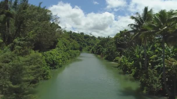 日当たりの良いバヌアツで穏やかなエキゾチックな川と緑豊かな熱帯の緑の上を飛ぶ 息をのむような熱帯林の真ん中にある静かな川の水の中で 認識できない子供たちが遊び 水しぶき — ストック動画