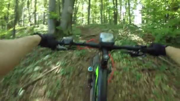 Pov Extreme Bike Rider Een Elektronische Fiets Die Een Groene — Stockvideo