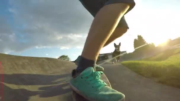 Low Angle Close Lens Flare Playful Dog Runs Pro Skateboarder — Stock Video