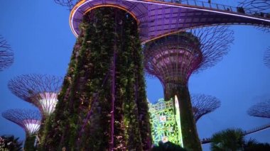 Düşük Açı Kapat Çekici Singapur ulusal dönüm noktası alacakaranlık renkli ışıklar yaktı. Bahçe Bay kentsel ortamda doğal hissediyorum için turistler arasında popüler. Marina Körfezi'nde Gezi