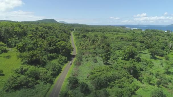 Hava Güzel Mavi Okyanus Yakınında Yemyeşil Egzotik Ormanda Yol Önde — Stok video
