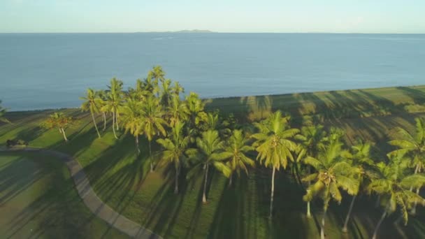 Antenn Lonely Leden Går Genom Perfekt Grön Gräsmatta Tropisk Golfresort — Stockvideo