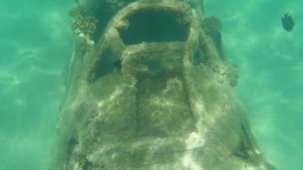 Underwater Close Summer Sunrays Shine Cockpit Destroyed Military Airplane Sitting — Stock Video