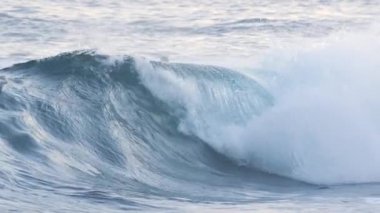 Yavaş Hareket, Close Up: Camsı tüp dalgası kırma ve yaz sabahı güneş ışığında parlayan. Kristal berraklığında okyanus dalgası çarpıcı bir varil şekli oluşturan. Serinletici varil dalga ıssız plaj için acele.