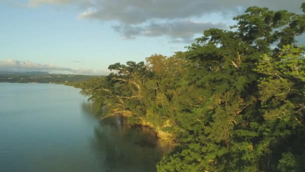 Aerial Flying Stunning Jungle Calm Tropical River Beautiful Summer Evening — Stock Video