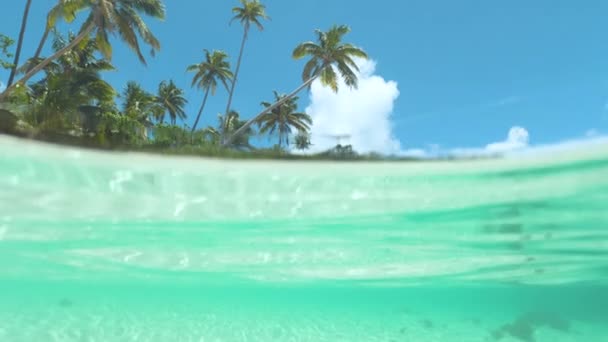 Half Half Out Slow Motion Incredibly Beautiful Tropical Beach Swept — Stock Video