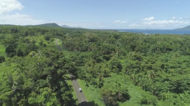 Antenna Lélegzetelállító Trópusi Dzsungel Tengerpart Körül Magányos Autót Vezetés Mellett — Stock videók