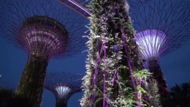 Düşük Açı Close Up: Singapur Modern turistik kentsel bir ortamda doğa getiren. Alacakaranlıkta Körfez'in yanında renkli bir şekilde aydınlatılmış Garden'ın büyüleyici manzarası. Tatildeyken gezi.