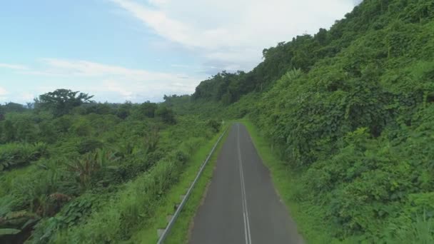 Aerial Camino Urbano Hormigón Que Serpentea Través Exuberante Selva Tropical — Vídeo de stock