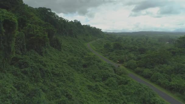 Aerial Increíble Naturaleza Verde Exuberante Que Crece Los Lados Una — Vídeos de Stock