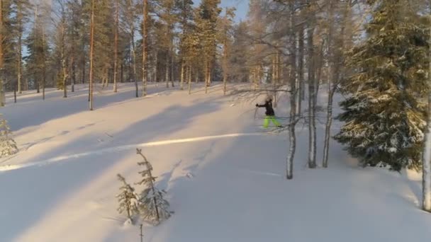 Antenn Kvinna Snöskor Snöiga Lapplands Skogen Oigenkännlig Kvinna Varma Vinterkläder — Stockvideo