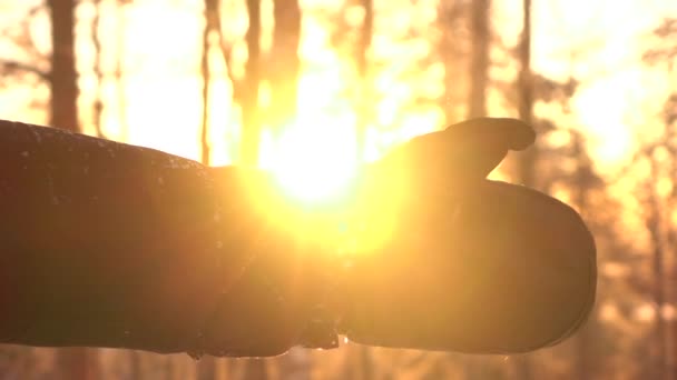 穿着暖冬手套的人们在寒冷的寒冬风景中 在金色的夕阳下搭便车 在寒冷的冬日早晨 竖起大拇指 戴上防护手套 在拉普兰戴防水手套 — 图库视频影像