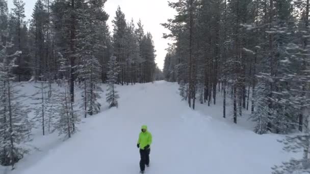神秘的な冷ややかなスプルースの森の白い雪の田舎道に新鮮な柔らかい雪の中を歩く認識できない人 冬のワンダーランドの森の中を歩く男 フィンランドの荒野 — ストック動画