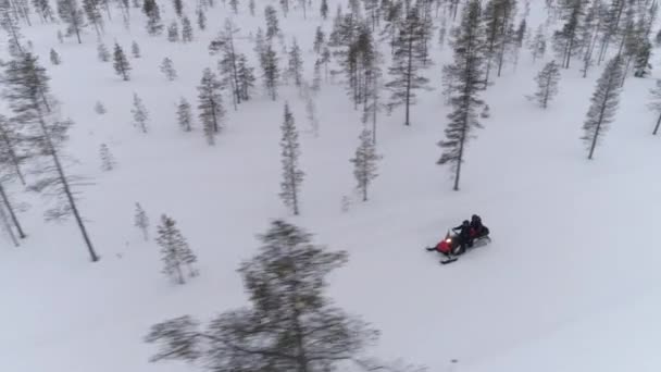 空中クローズアップ ラップランド フィンランドを探索美しい白い雪山の斜面でスノーモービルを運転する人々 スノーモービルの冒険に乗る観光客は スプルースの森に乗ります 冬休みのスノーモービル — ストック動画