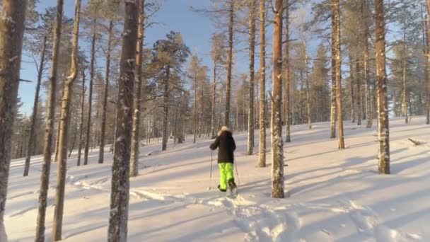 雪のラップランドの森の中で空中女性スノーシューイング 暖かい冬服を着た認識できない女性が スノーシューで深い雪の毛布を歩いている 楽しい冬の運動をする雪のトレッキングの人々 — ストック動画
