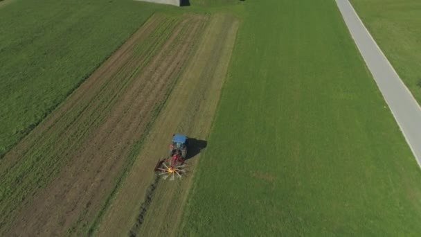 空中クローズアップは 草地で作業ブルートラクターの上に飛んで 晩秋に乾燥した干し草をひっくり返します 晴れた秋に牧草地の農地に取り組む農家 農業機械の作業 乾燥した草を回す — ストック動画