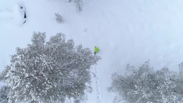 遠く離れた冷ややかな松の森 ラップランド フィンランドで新鮮な雪の毛布を通って歩く認識できない人の上を飛ぶ 冬の間に徒歩で移動する女性 深い雪の中を歩く — ストック動画