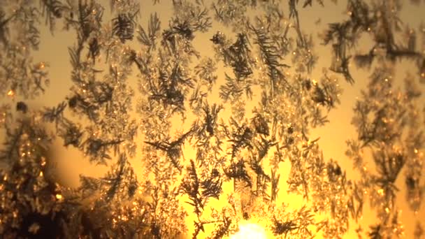 Close Dof Прекрасні Крижані Квіти Морозному Вікні Блищить Золотим Сонцем — стокове відео