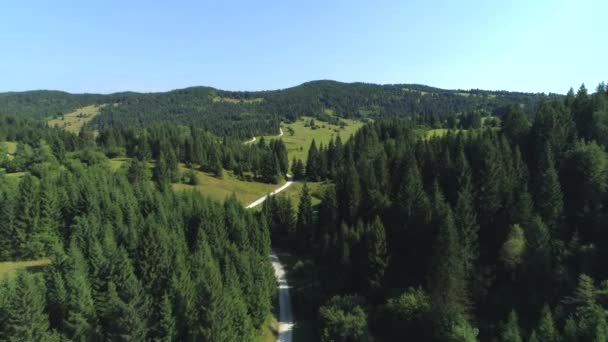 Antenne Flug Über Malerische Landstraße Idyllischer Abgelegener Ländlicher Landschaft Schotterstraße — Stockvideo