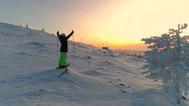 雪山の上に腕を上げる暖かい冬の陶器で女性の周りを飛ぶ スノーシューで山の上に立つ女性旅行者は 勝利を収め 腕を上げる 冬のアクティブな人々 — ストック動画