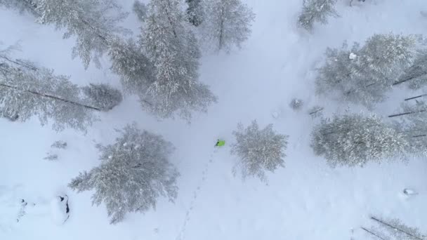 Aerial Vliegen Boven Uitgeput Onherkenbaar Persoon Verloren Besneeuwde Winter Wildernis — Stockvideo