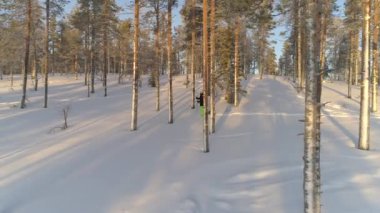 Karlı Lapland ormanında kar ayakkabısı alan Hava Kadını. Sıcak kış giysileri içinde tanınmayan kadın kar ayakkabıları ile derin kar battaniye ile yürüyüş. Eğlenceli kış aylarında egzersiz kar trekking insanlar