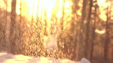 Slow Motion, Dof: Yumuşak kar taneleri beyaz karlı battaniye üzerine düşen ve rüya Gibi Finlandiya kış harikalar büyüleyici ormanda kapsayan. Altın ışık günbatımında güneşli akşam ormanda yoğun kar yağışı