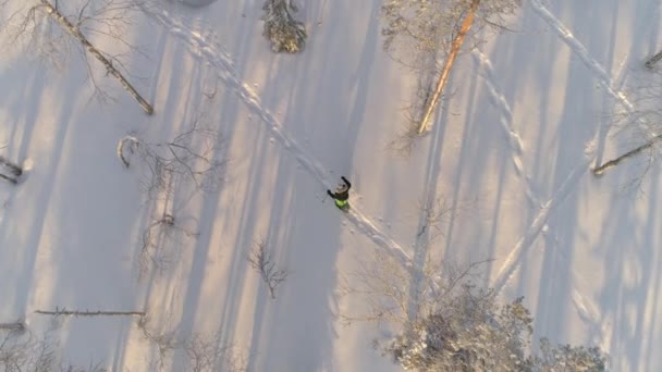 Bovenaanzicht Van Lucht Vrouw Sneeuwschoenwandelen Besneeuwde Lapland Bos Onherkenbaar Persoon — Stockvideo