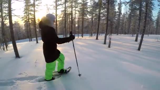 在拉普兰森林里 穿着雪鞋走过厚厚的雪毯的年轻女子 女孩雪鞋在新鲜的粉雪在冬季日落 人们在日出时在有趣的雪冬中锻炼 — 图库视频影像