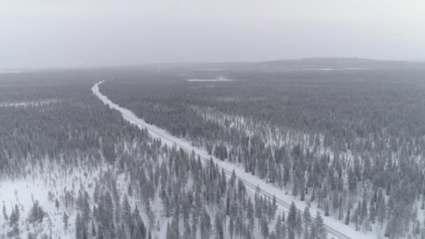 Aerial Autopista Vacía Que Conduce Través Bosque Pinos Cubierto Nieve — Vídeos de Stock