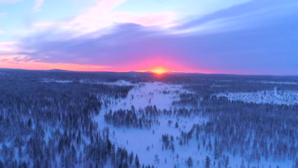 Aerial Fechar Voando Sobre Árvores Floresta Abeto Nevado Lindo Pôr — Vídeo de Stock