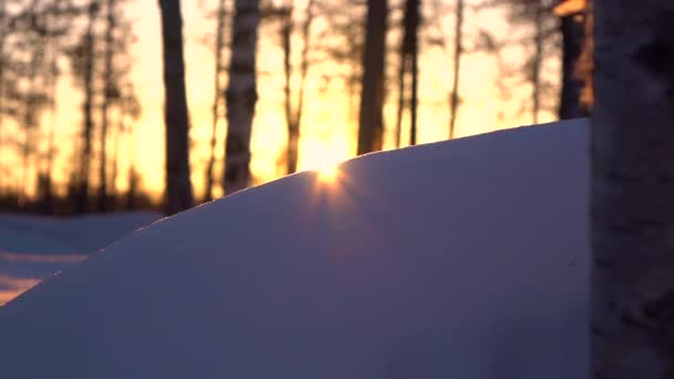 クローズアップ Dof きらめく雪の山の上に美しい白樺の森を通して輝く黄金の夕日の輝き ラップランド フィンランドの日の出に夢の朝に冷ややかな荒野をカバーする白い雪の毛布 — ストック動画