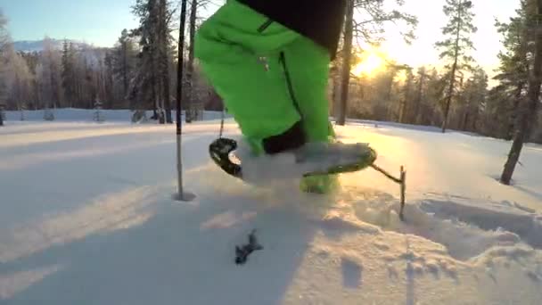 Lapland Ormanlarında Kar Ayakkabıları Ile Derin Kar Battaniye Ile Yürürken — Stok video