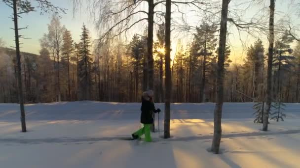 Antenn Ung Kvinna Varma Vinterkläder Snöskor Djup Snö Golden Sunrise — Stockvideo