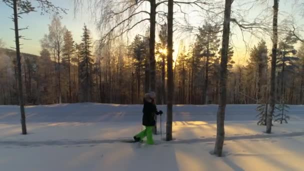 穿着暖冬装的年轻女子在金色的日出时在深雪中穿雪鞋 冬季日落时分 快乐的女孩雪鞋在雪林中徒步旅行 微笑的女性旅行者在寒冬拉普兰锻炼 — 图库视频影像