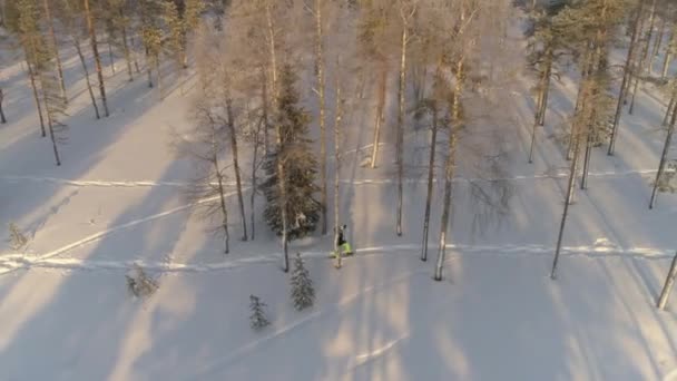 雪のラップランドの森の中で空中アクティブな女性のスノーシューイング 暖かい冬服を着た認識できない人が スノーシューで深い雪の毛布の上を歩いている 楽しい冬の運動をする雪のトレッキングの人々 — ストック動画