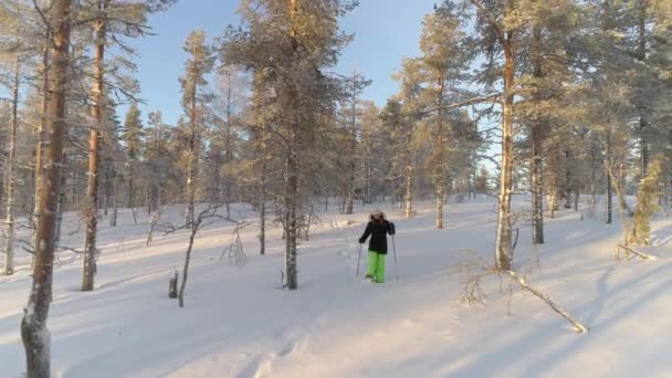 空中活跃妇女雪鞋在雪拉普兰森林在冬季的早晨 女孩穿着暖和的冬装 穿着雪鞋在深雪面上行走 人们在有趣的冬季徒步旅行锻炼 — 图库视频影像