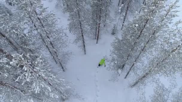 Anten Uzak Buzlu Çam Ağacı Ormanda Taze Kar Battaniye Ile — Stok video